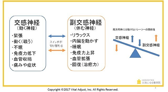 副交感神経の働きの画像