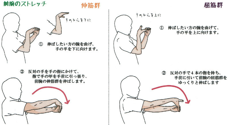 手の屈筋群と伸筋群のストレッチ方法の画像