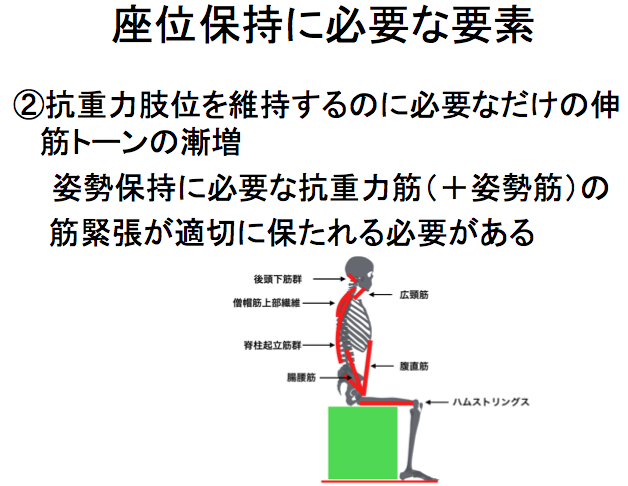 座位保持姿勢に関わる筋の解説図