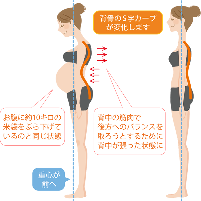 妊娠時の体の画像