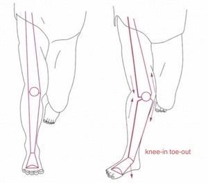 足関節から膝に与える力の画像