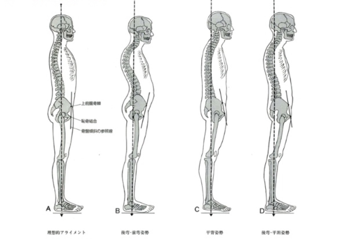 姿勢の画像