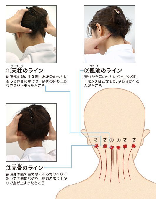 目の疲れに使えるツボの画像