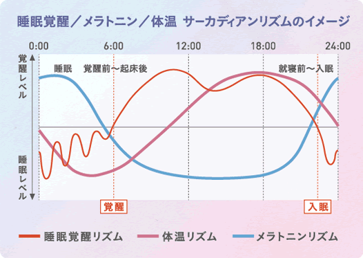 筋が硬くなった時の血管絞扼の画像