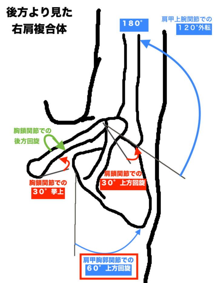 肩関節運動の解説図