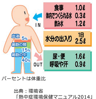 水を失った時の身体の変化の画像