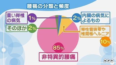 腰痛の分類と頻度の画像