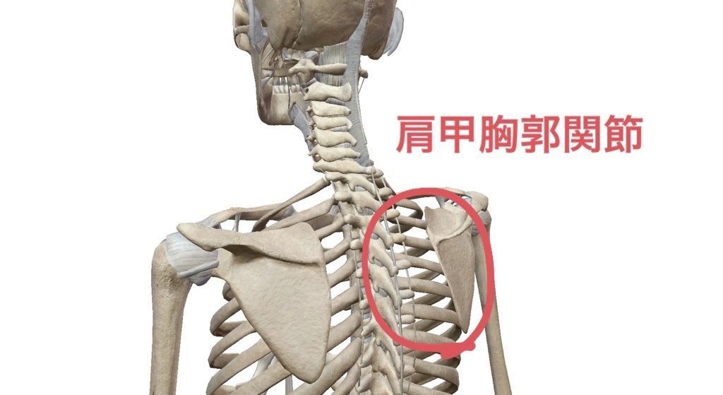 関節が原因で起こる肩こりの画像