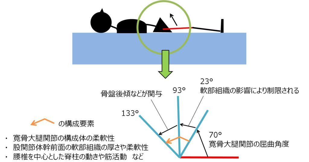 股関節の運動を解説した図