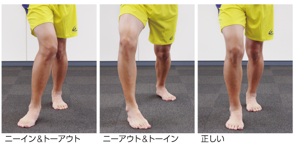 膝屈曲時の股関節の動き画像