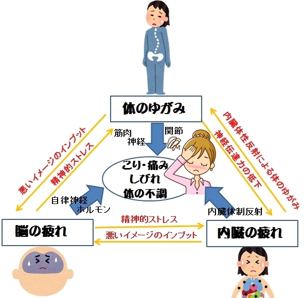 内臓の不調による身体の変化の画像