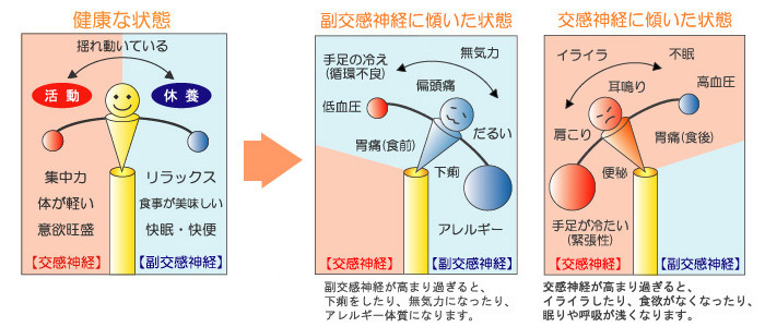 自律神経のバランスの画像