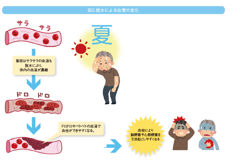 脱水肌と乾燥肌の比較