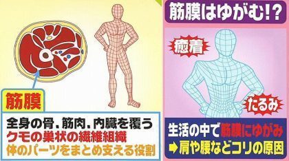 筋・筋膜性腰痛 - 八戸市の腰痛専門【たか接骨院】坐骨神経痛・脊柱管
