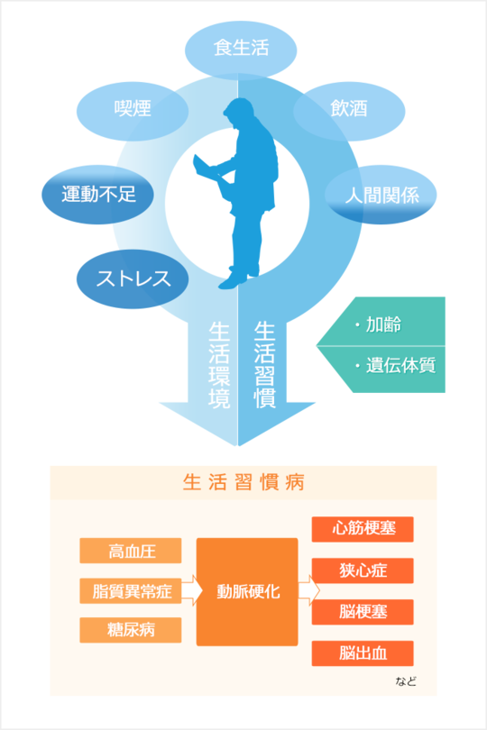 内臓由来の腰痛 たか接骨院 八戸市で腰痛 坐骨神経痛 脊柱管狭窄症治療なら 内臓由来の腰痛 たか接骨院 八戸市で腰痛 坐骨神経痛 脊柱管狭窄症治療なら