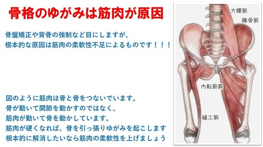 歪みと痛みの関係 たか接骨院 八戸市で腰痛 坐骨神経痛 脊柱管狭窄症治療なら